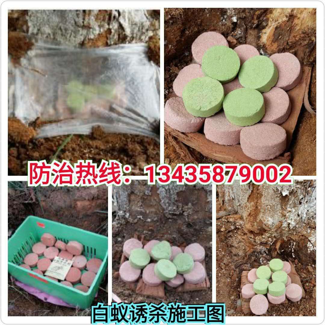 微信图片_20181004225932.jpg