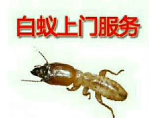 微信图片_20181004225809.jpg